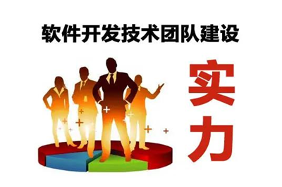 自建技術團隊開發軟件可以嗎？(圖1)