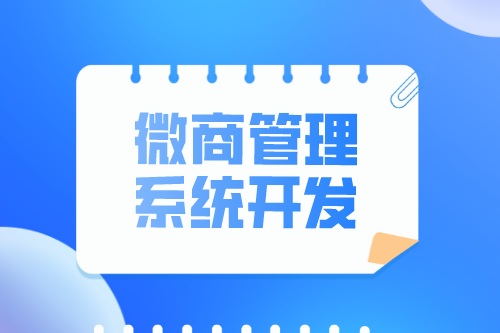 微商管理系統開發有什么優勢(圖1)