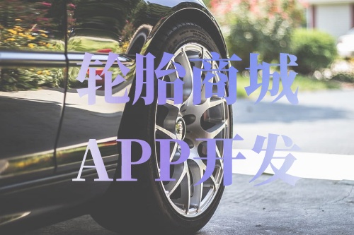 德州輪胎商城APP開發功能介紹(圖1) 德州輪胎商城APP開發功能介紹(圖1)