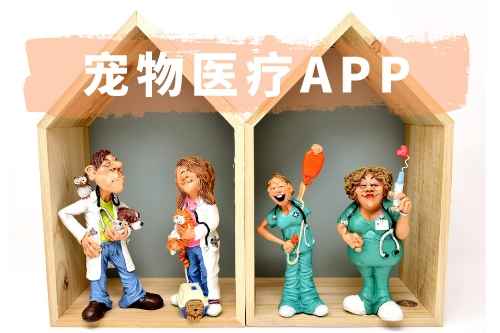 寵物醫(yī)療APP開發(fā)有哪些功能(圖1)