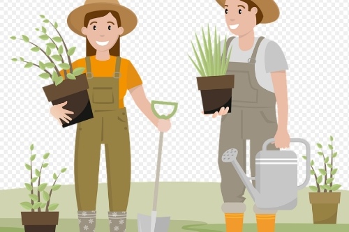 花卉養殖APP有什么功能(圖2)