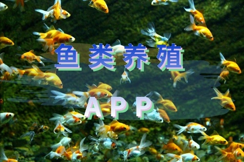 如何開發一款魚類養殖APP 軟件(圖1)