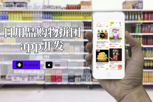 日用品購物拼團app開發解決方案(圖1)