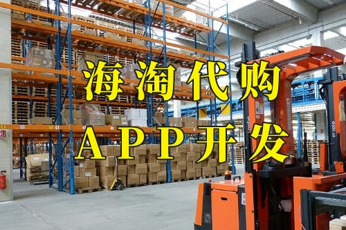 海淘代購app開發功能及優勢(圖2)