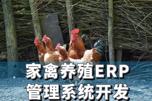 家禽養殖行業ERP管理系統開發有哪些好處(圖2)