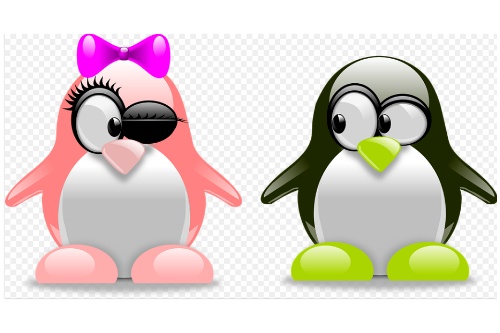 市場對婚戀小程序開發的需求(圖1)