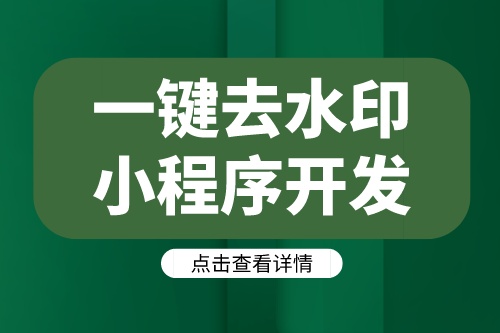 德州一鍵去水印小程序開發(fā)方案及功能介紹