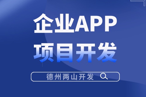 影響企業(yè)APP項目開發(fā)費用的因素有哪些？(圖1)