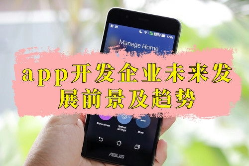 app開發企業未來發展前景及趨勢(圖1)