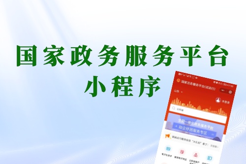 國家政務服務平臺小程序實現全國政務一網通辦(圖1)